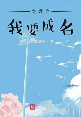 文娱之我要成名封面