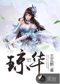 琼华封面