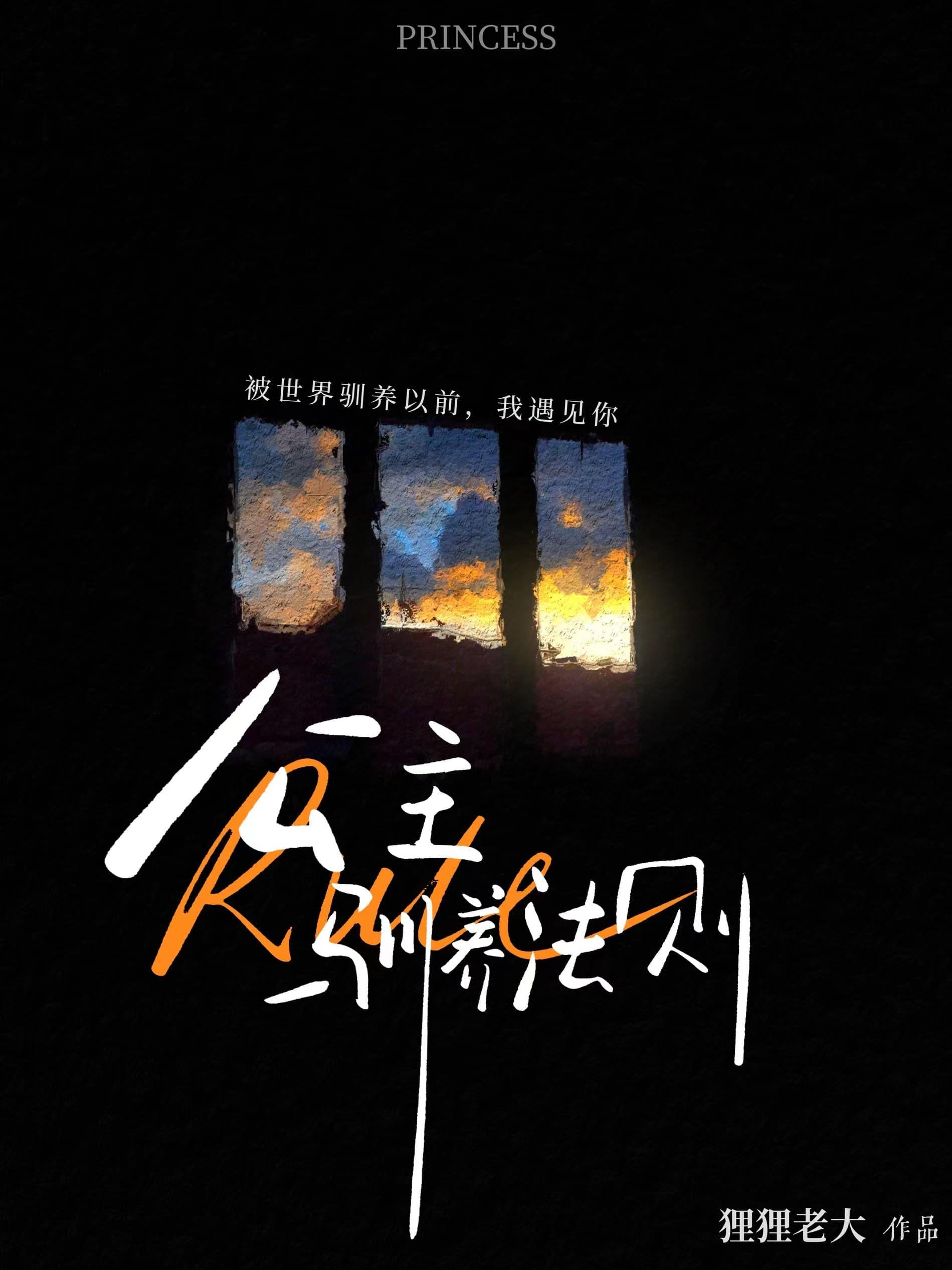 公主驯养法则封面