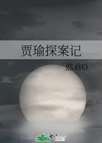 贾瑜探案记封面