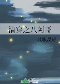 清穿之八阿哥封面