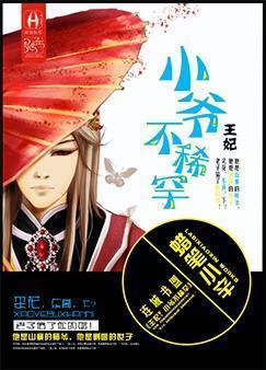 王妃？小爷不稀罕封面