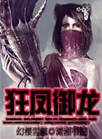 狂凤御龙封面