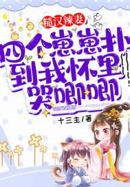 糙汉辣妻：四个崽崽扑到我怀里哭唧唧封面