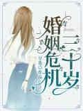 三十岁婚姻危机封面