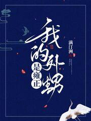 我的外甥是雍正封面