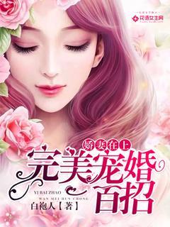 娇妻在上：完美宠婚一百招封面