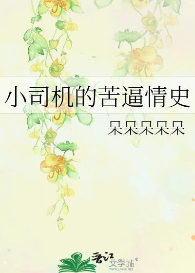 小司机的苦逼情史封面