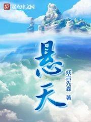 悬天封面