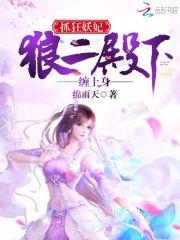 抓狂妖妃：狼二殿下缠上身封面
