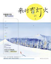 来时有灯火封面
