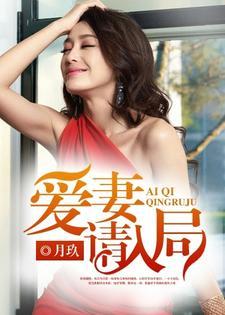 爱妻请入局封面