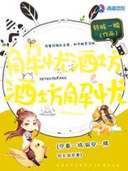 解忧酒坊，酒坊解忧封面