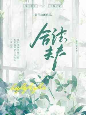 合法夫夫封面