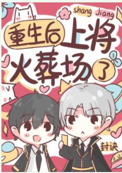 重生后上将火葬场了封面