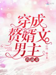 穿成赘婿文男主的前妻封面