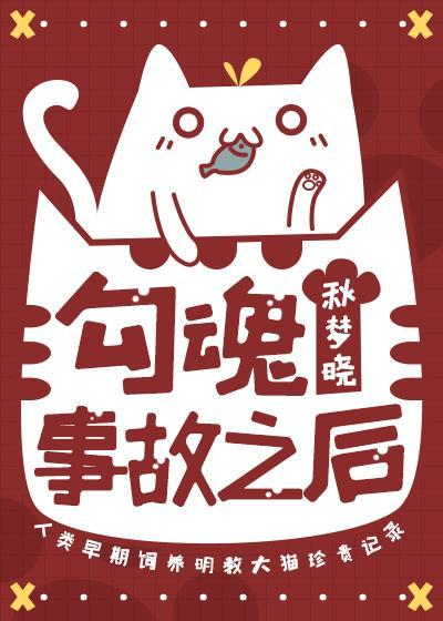 勾魂事故之后封面
