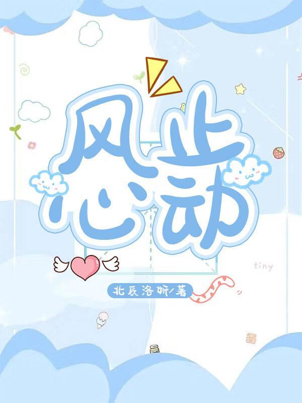 风止心动封面