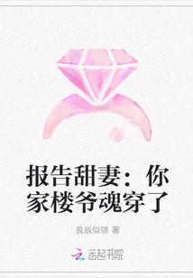 报告甜妻：你家楼爷魂穿了封面