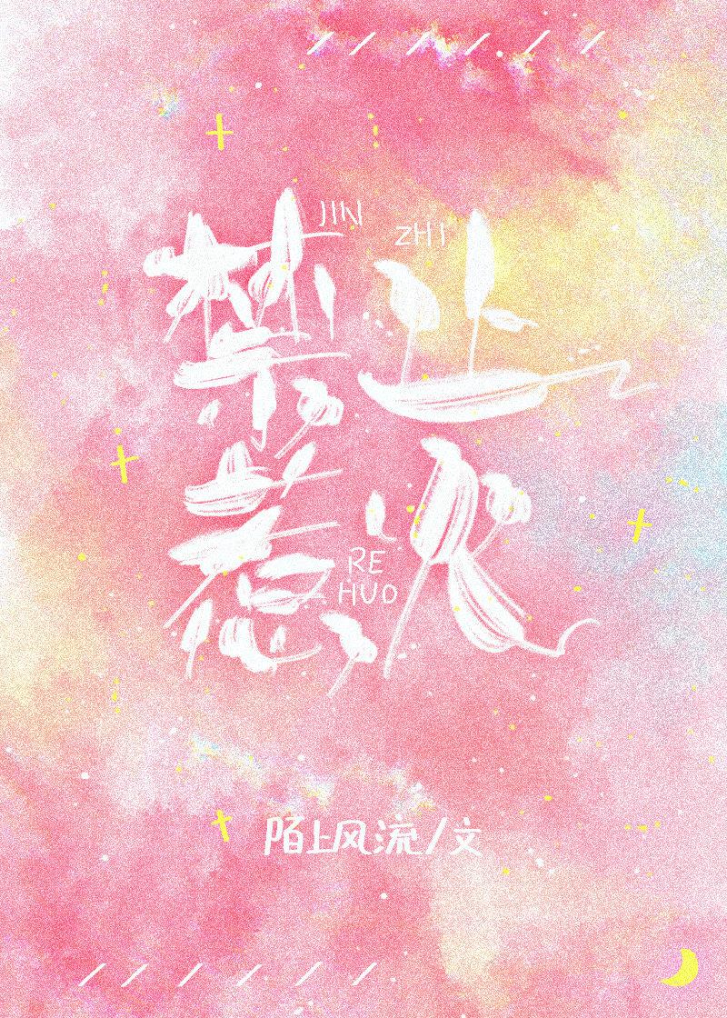 禁止惹火封面
