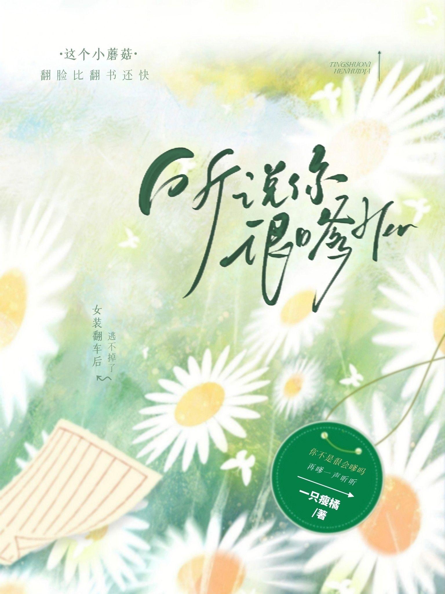 听说你很嗲封面