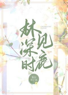 林深时见鹿封面