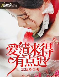 爱情来得有点迟封面
