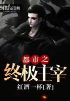 都市之终极主宰封面