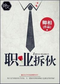 职业拆伙封面