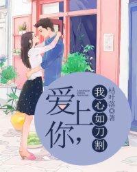 爱上你，我心如刀割封面