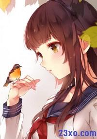 无肉不欢授课方式封面