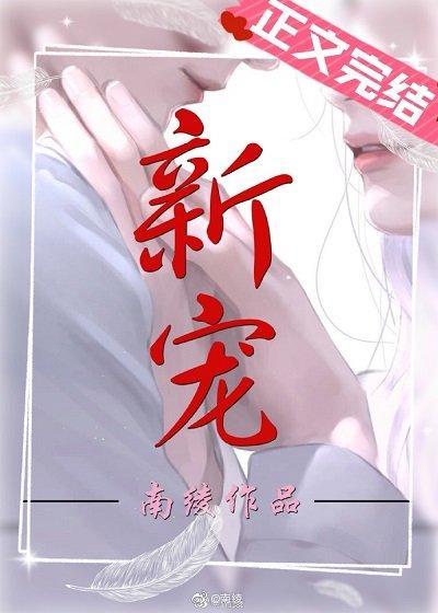 新宠封面