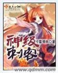神级刺客封面