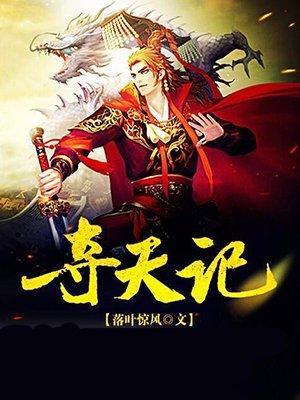 夺天记封面