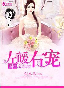 重生之左暖右宠封面