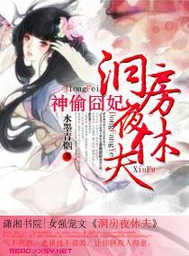 神偷妃，洞房夜休夫封面