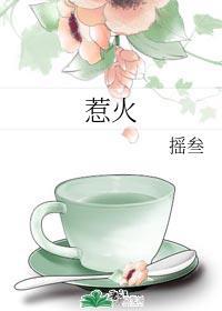 惹火洛知意江稚封面