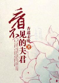看不见的夫君封面