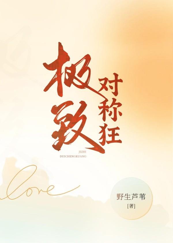 极致对称狂封面
