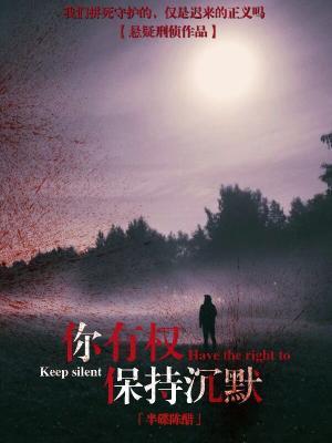 你有权保持沈默封面