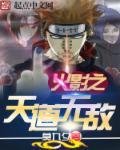 火影之天道无敌封面