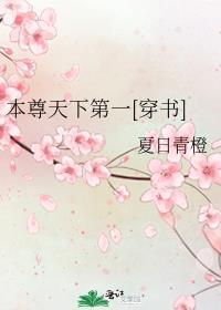 本尊天下第一[穿书]封面