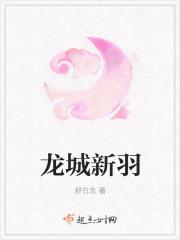 银羽公主封面