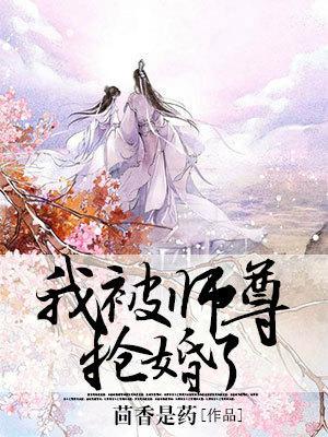 我被师尊抢婚了封面