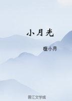小月光陈应月陆亦修封面