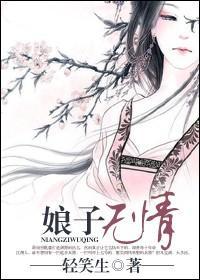 娘子无情封面