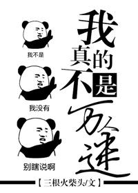 我真的不是万人迷封面