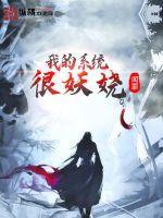 宠妃系统妖娆H封面