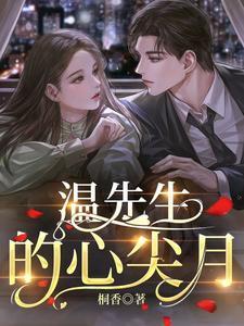 温先生的心尖月封面