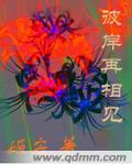 彼岸再相见封面
